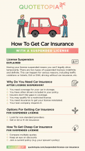 IGS_How To Get Car Insurance With A Suspended License_Infog
