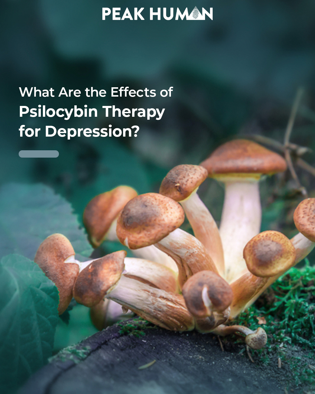 PH_FB-IG_What Are the Effects of Psilocybin Therapy Mushroom