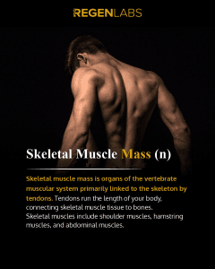RL_FB_IG_BODY_Definition_What Is Skeletal Muscle Mass